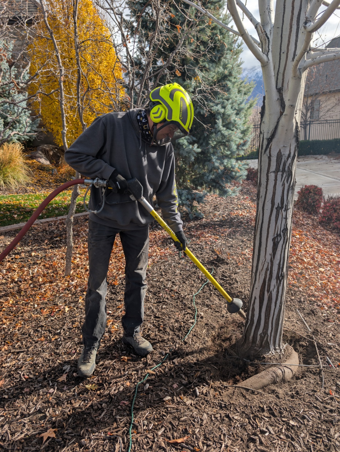 Plant Health Care in Utah County