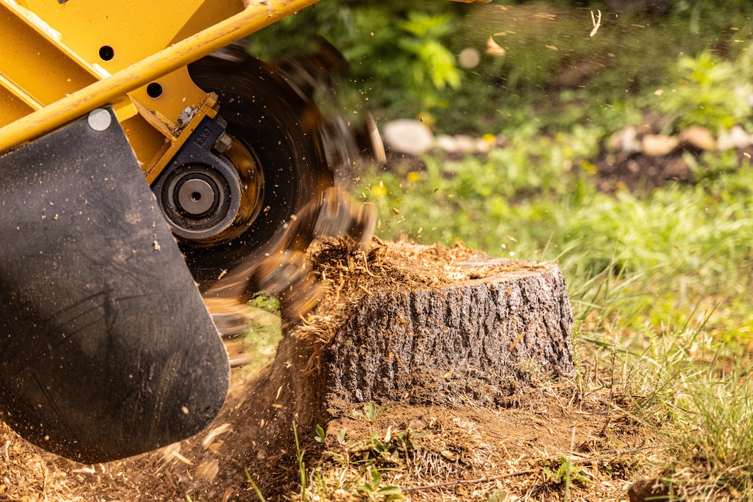 Stump Grinding in Utah County