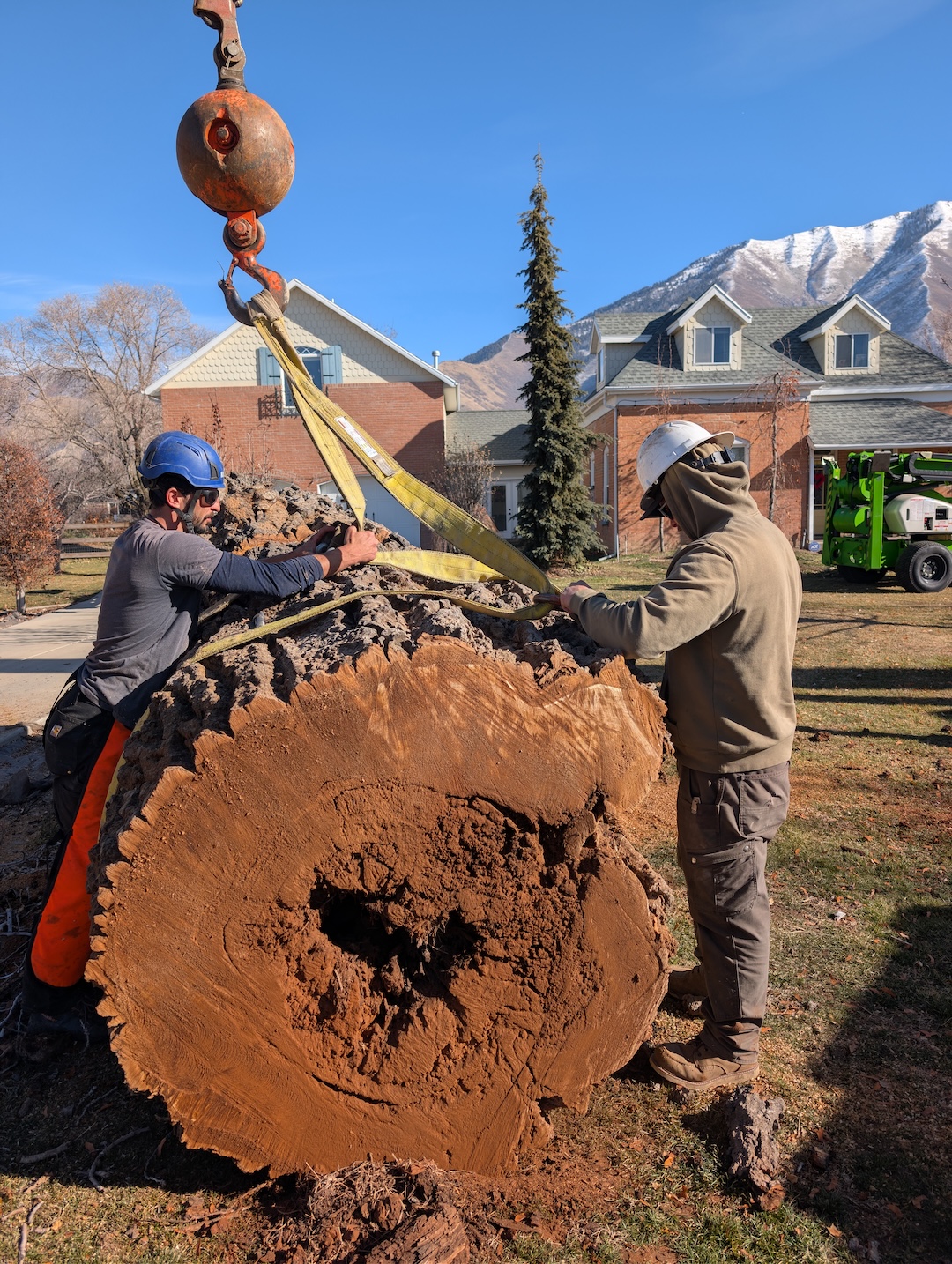 Tree Removal in Utah County